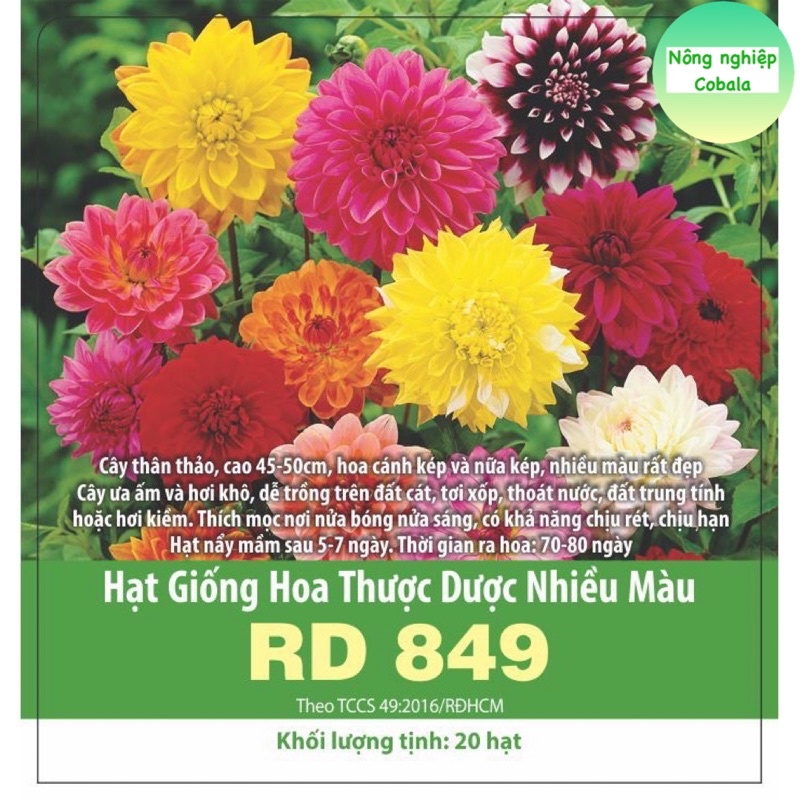 Hạt Giống Hoa Thược Dược Nhiều Màu Gói 0.1gr