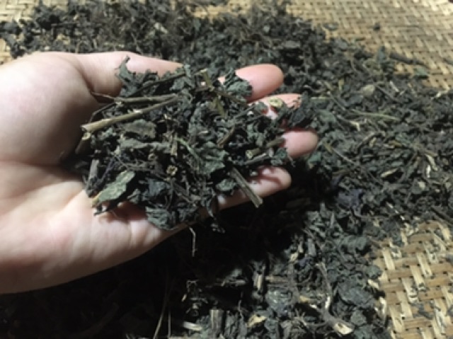 1kg lá cành cây tía tô (cam kết khô, thơm, mới) | BigBuy360 - bigbuy360.vn