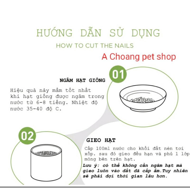 Hạt cỏ mèo nếp bổ dưỡng cho mèo