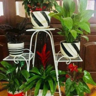 Kệ hoa 6 tầng
