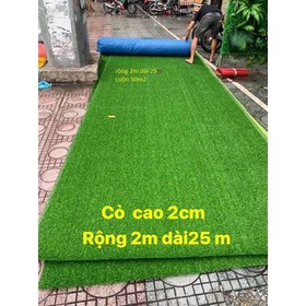 Thảm cỏ nhân tạo sân vườn cao 2cm combo 5m2