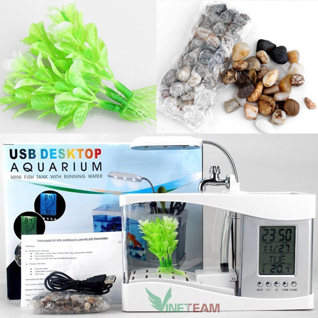 🍒Bể Cá Mini🍒 Hồ Cá Cảnh Mini Kiêm Đồ Hồ Để Bàn Siêu Đẹp (Tặng Kèm Đá Và Cây Cảnh) | BigBuy360 - bigbuy360.vn