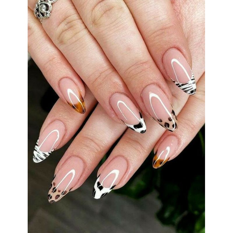 Nail Box vẽ beo