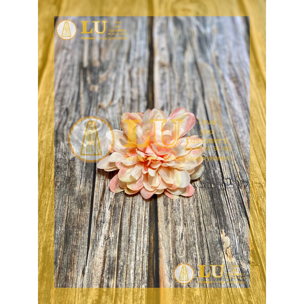 Đầu hoa Thược dược nhỡ | LU