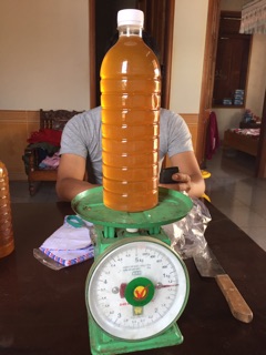 Mật ong hoa cà phê Đăk Lăk ( Chai 1L)