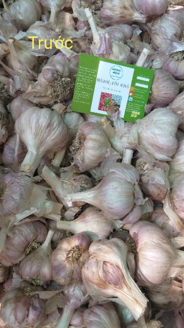 Tỏi Tía Ta 1kg | BigBuy360 - bigbuy360.vn