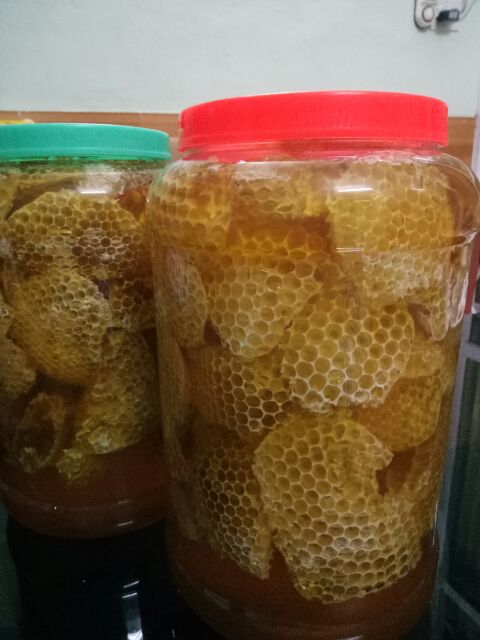 Mật ong rừng nguyên sáp hảo hạng 1kg