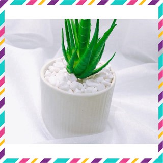 Gói Sỏi trắng trang trí lọ hoa thủy tinh hoặc phủ trên bề mặt các chậu sen đá hoặc cây cảnh