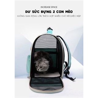(NEW) Balo Vận Chuyển Thú Cưng
