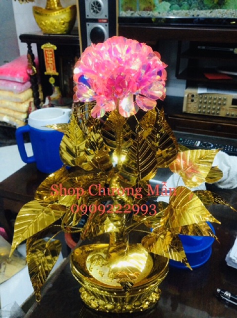 100G Bông Tuyết 6 Cánh [2 Màu Dạ Quang] Mới