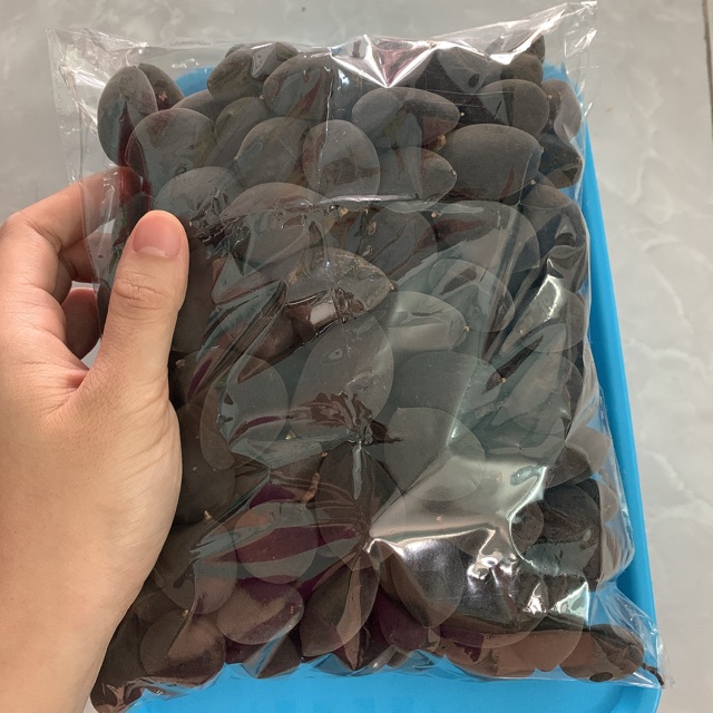 Trái xay voi to 1kg