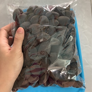 Trái xay voi to 1kg