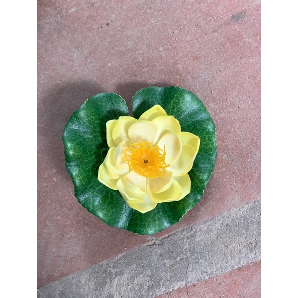 Hoa Sen Thả Bát, Thả Bể Cá