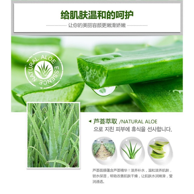 Mặt Nạ Nha Đam Images - Hàng Nội Địa Trung Quốc TEM STORE | BigBuy360 - bigbuy360.vn