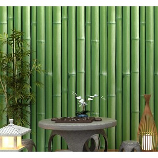 COMBO 5M Decal giấy dán tường keo sẵn khổ 45cm thân cây tre