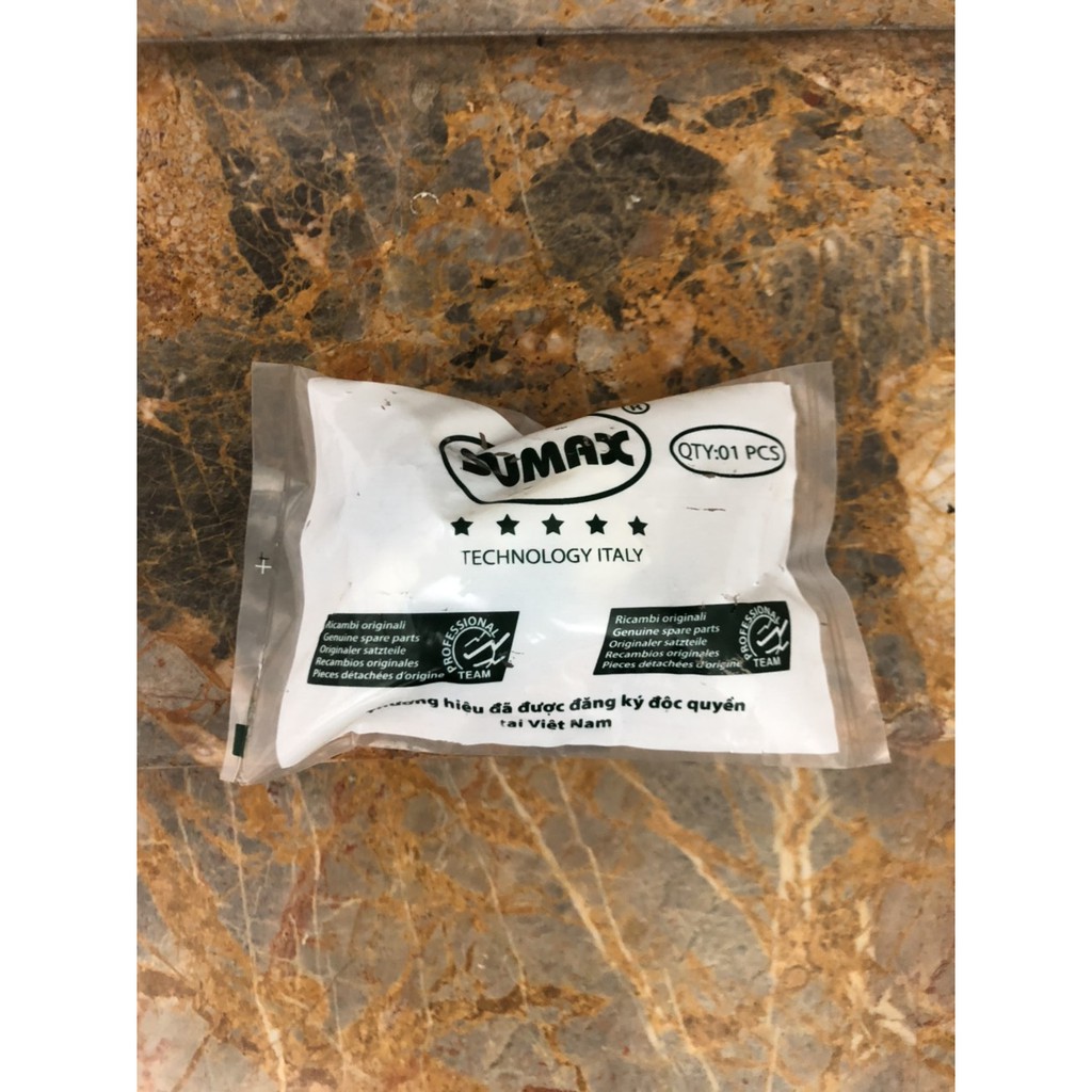 Rơ le bình nóng lạnh Rossi kép đôi