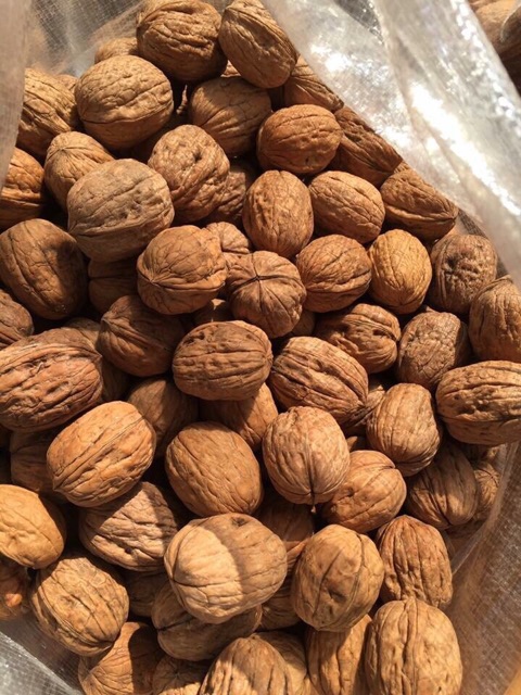 Óc chó khô núi rừng sapa 1 kg