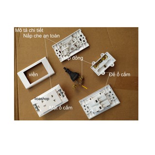 Ổ ĐÔI 2 CHẤU LiOA