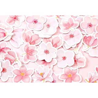 Hộp 45 sticker hoa anh đào Sakura 🌸