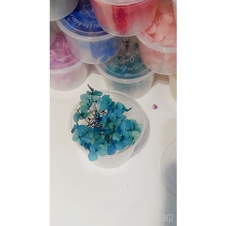 Hoa cẩm tú cầu khô trang trí resin nail- make up cô dâu