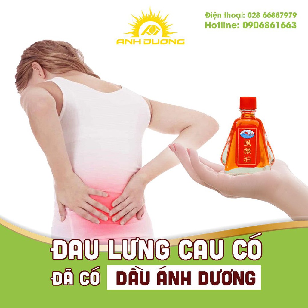 Combo 6 chai Dầu phong thấp Ánh Dương (giúp giảm viêm đau cơ khớp, nhức mỏi, bong gân, tan máu bầm, cảm mạo ..)
