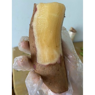 Khoai sâm đất y tý 1kg