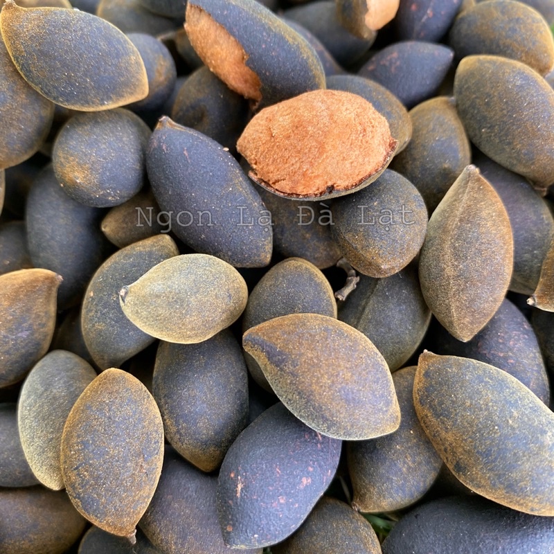 Say rừng sấy muối ớt, Đặc Sản Ngon Lạ Đà Lạt