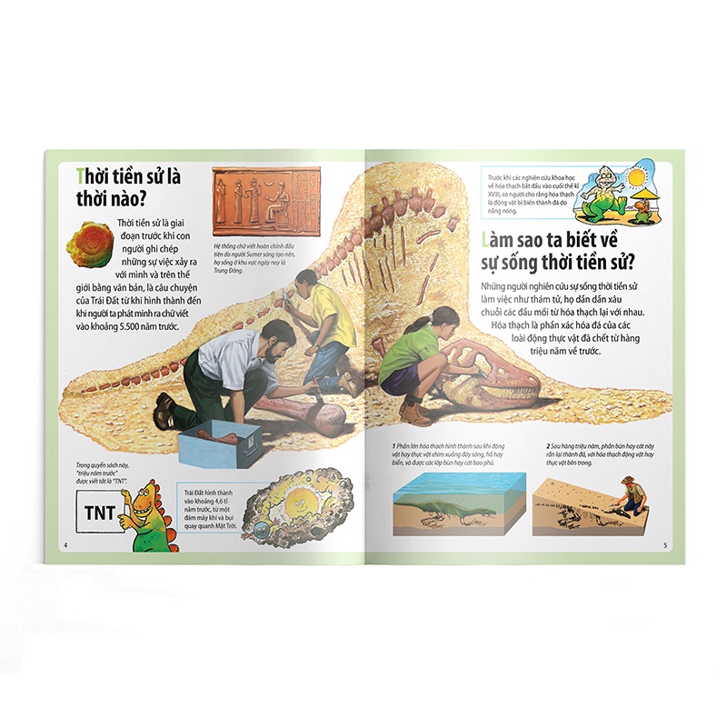 Sách - Em Muốn Biết Vì Sao - Cá mọc chân và những câu hỏi khác về thời tiền sử