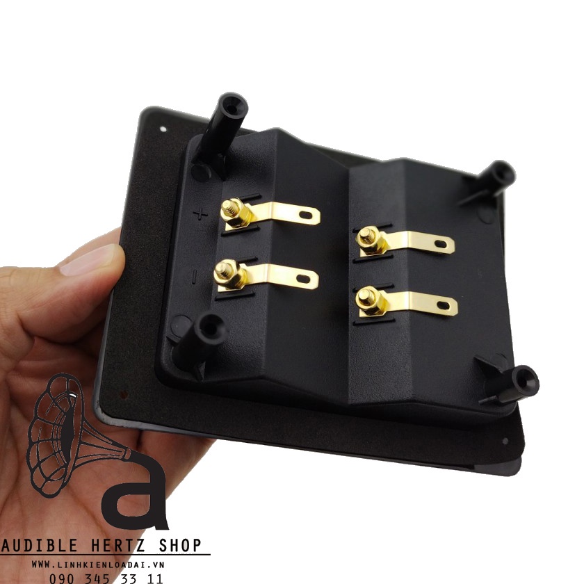 Trạm loa bi-wire, máng loa, hậu loa ráp thùng