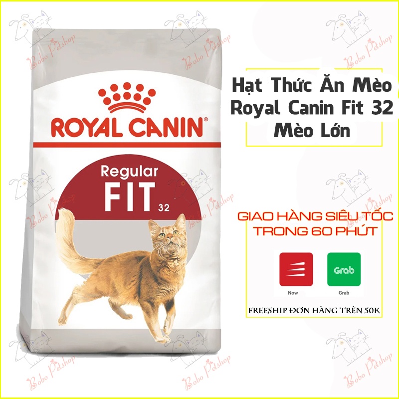 Thức Ăn Cho Mèo ROYAL CANIN FIT32 Hạt Mèo Điều Chỉnh Tình Trạng Búi Lông Của Mèo Trưởng Thành - Bobo Pet Shop Hà Nội