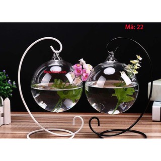 Bể cá cảnh Mini để bàn