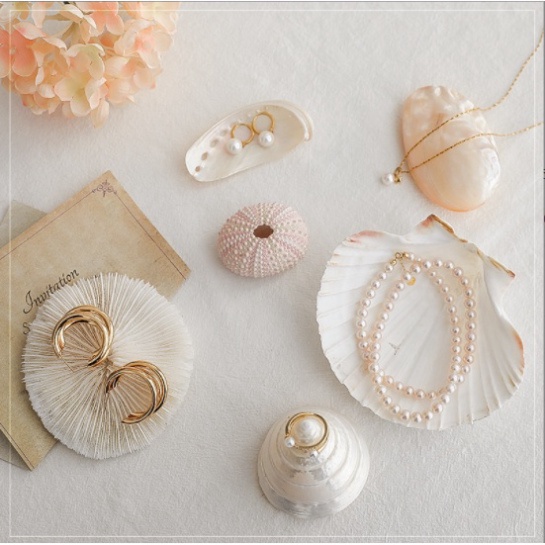 Sò, Ốc, San Hô trang trí chụp ảnh nail, chụp đồ trang sức, làm handmade xinh xắn