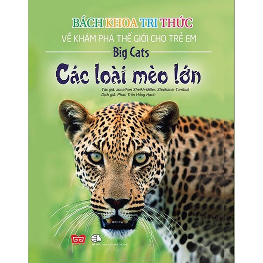 Sách - Bách Khoa Tri Thức Về Khám Phá Thế Giới Cho Trẻ Em - Các Loài Mèo Lớn (Bìa Mềm) DTI