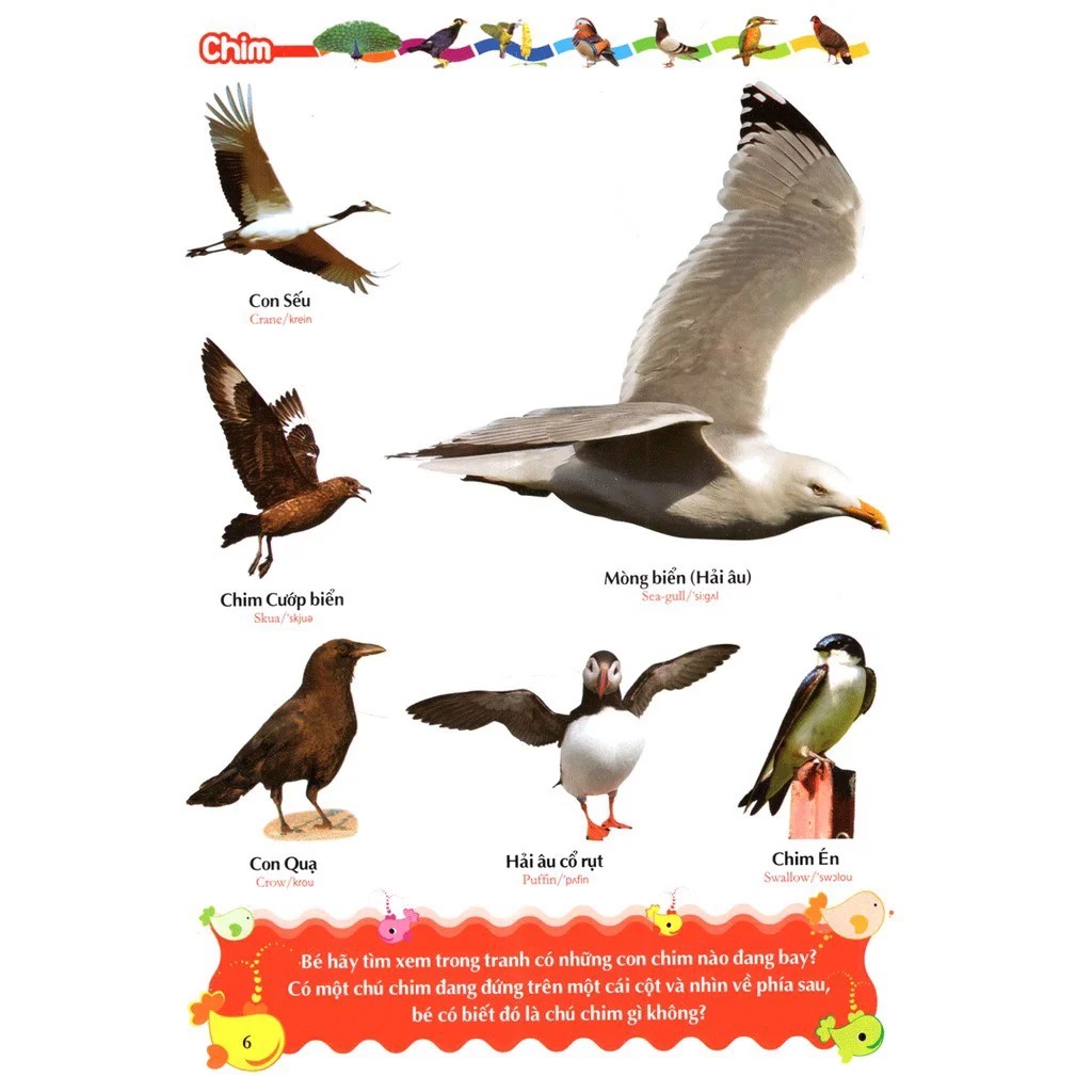 Sách -  Combo 2 Cuốn Bìa Cứng - Từ Điển Tranh Về Rau - Củ - Quả - Hoa (TB) + Từ Điển Tranh Về Các Con Vật (TB)