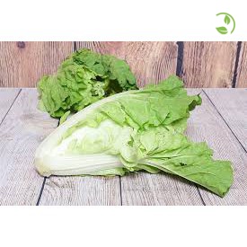 Hạt Giống Cải Bẹ Dún Phú Nông - Gói 20g - 50g