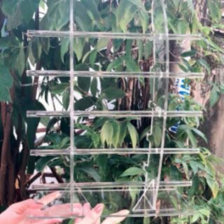 KỆ TRƯNG BÀY MẮT KÍNH SLL