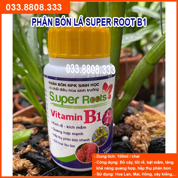 PHÂN BÓN B1 SUPER ROOTS CHAI 100MLCHUYÊN DÙNG KÍCH RỄ BẬT MẦM HỖ TRỢ QUANG HỢP
