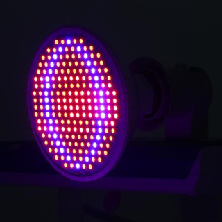 Đèn Led Trồng Cây E27 Smd 24w 200-led