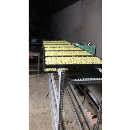 KHAY TRỒNG RAU MẦM KÍCH THƯỚC LỚN 30X60CM