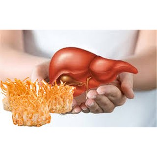 100g Hoa Đông Trùng hạ thảo (loại sấy khô)