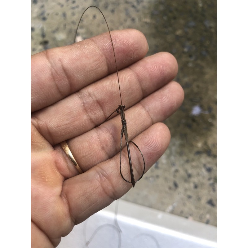 Bộ bẩy giò cu gáy Việt