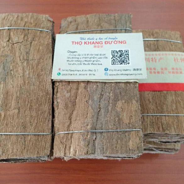 Đỗ trọng Tứ Xuyên bổ thận, hỗ trợ chứng đau lưng, mỏi gối
