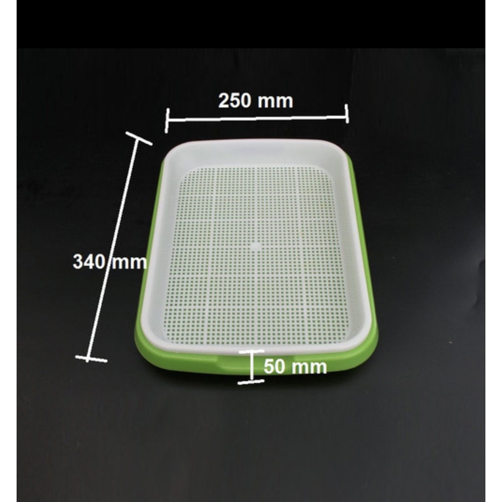 KURM5CM - khay nhựa chuyên trồng các loại rau mầm nắp bán riêng