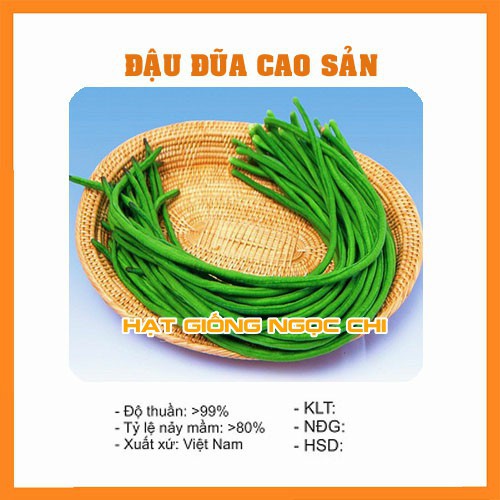 Hạt Giống Đậu Đũa (Hạt Giống Ngọc Chi)  - 20Gr