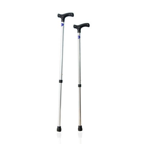 Gậy Inox 1 chân