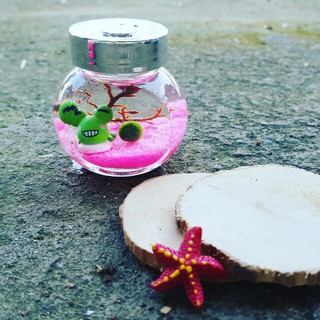 Hủ/ lọ thuỷ tinh trang trí ( có 2 size )