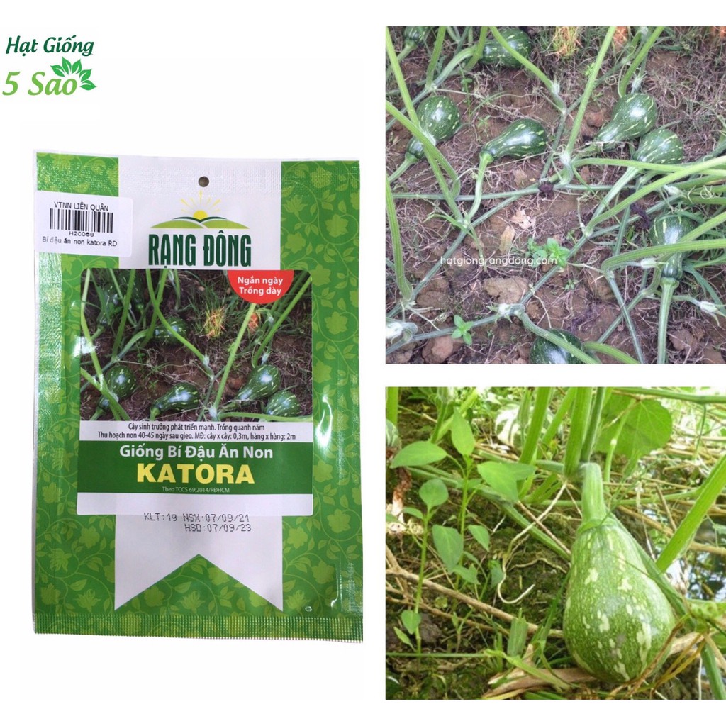 Hạt giống bí đậu ăn non Katora