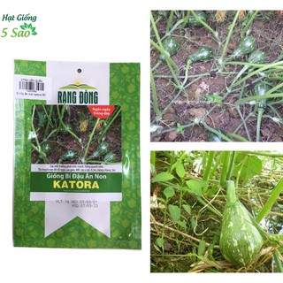 Hạt giống bí đậu ăn non Katora