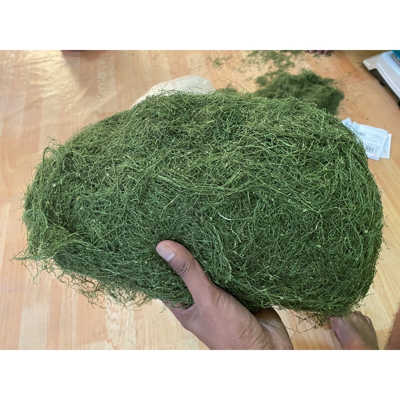 Bộ đồ chơi xếp hình màu xanh lá 500g độc đáo