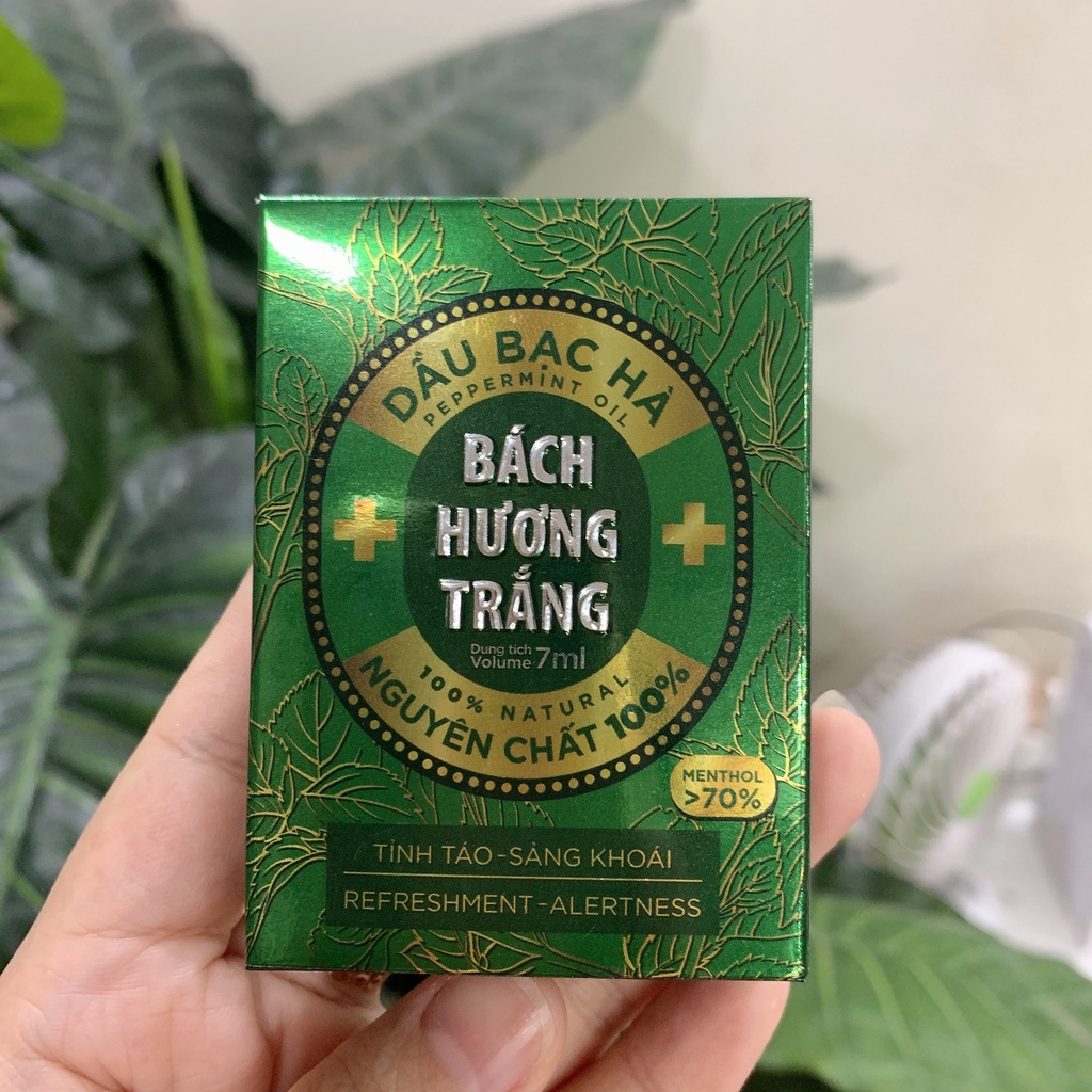 Tinh Dầu Bạc Hà nguyên chất 100%- Dầu bạc hà Bách Hương Trắng dùng xoa phòng cảm cúm,cho vào máy xông khử mùi, thư giãn